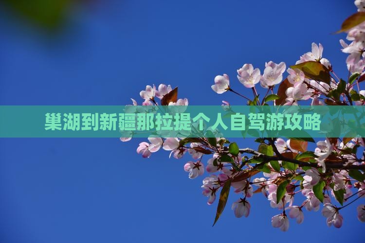 巢湖到新疆那拉提个人自驾游攻略