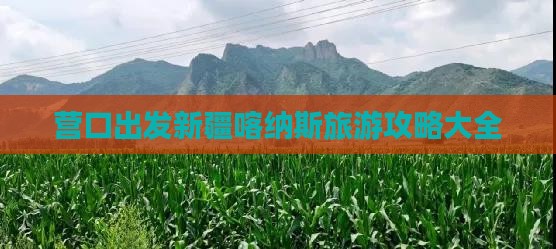 营口出发新疆喀纳斯旅游攻略大全