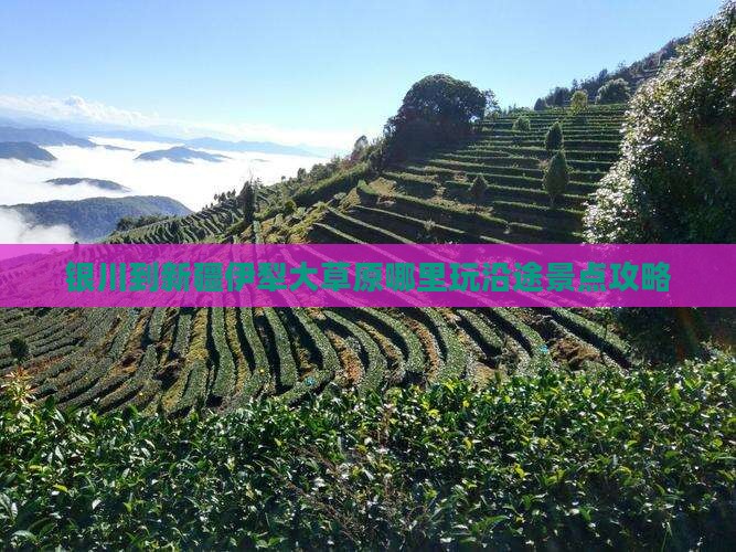 银川到新疆伊犁大草原哪里玩沿途景点攻略