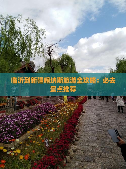 临沂到新疆喀纳斯旅游全攻略：必去景点推荐