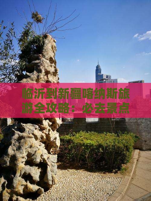 临沂到新疆喀纳斯旅游全攻略：必去景点推荐