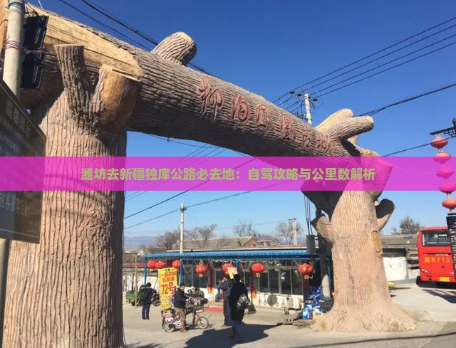 潍坊去新疆独库公路必去地：自驾攻略与公里数解析