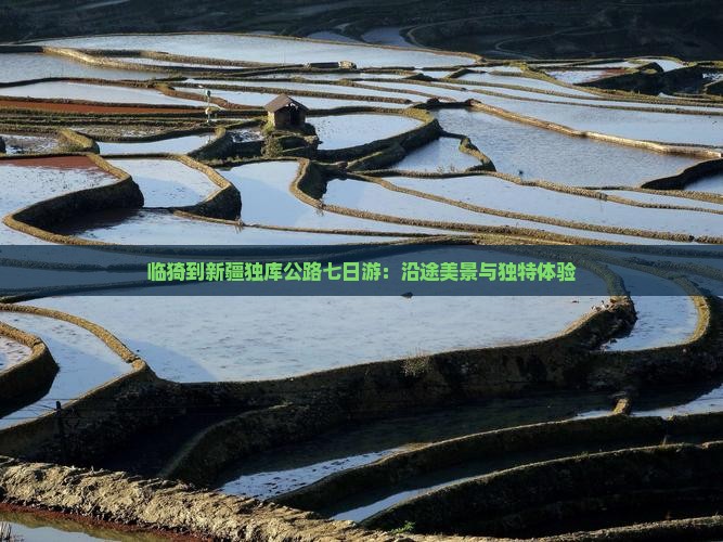 临猗到新疆独库公路七日游：沿途美景与独特体验
