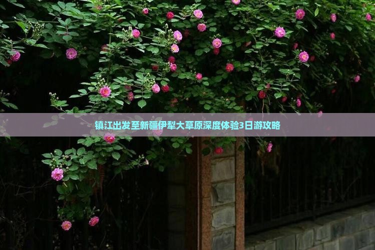 镇江出发至新疆伊犁大草原深度体验3日游攻略