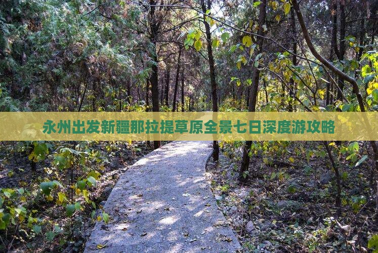 永州出发新疆那拉提草原全景七日深度游攻略