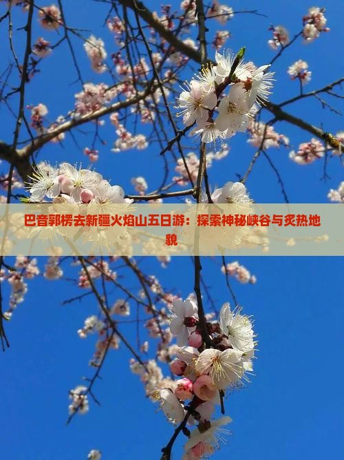 巴音郭楞去新疆火焰山五日游：探索神秘峡谷与炙热地貌