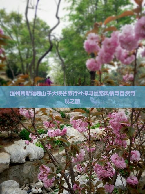 温州到新疆独山子大峡谷旅行社探寻丝路风情与自然奇观之旅