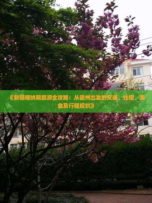 《新疆喀纳斯旅游全攻略：从德州出发的交通、住宿、美食及行程规划》
