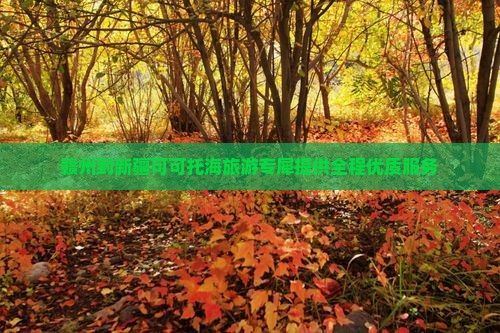 赣州到新疆可可托海旅游专犀提供全程优质服务