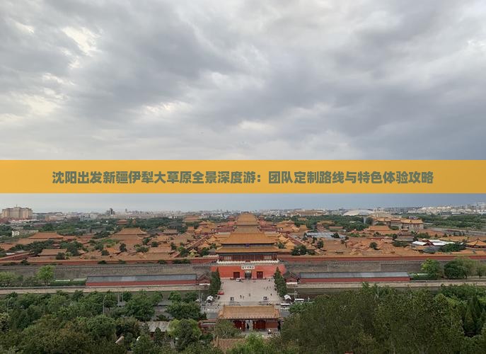 沈阳出发新疆伊犁大草原全景深度游：团队定制路线与特色体验攻略