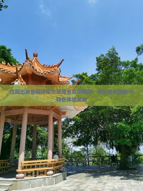 沈阳出发新疆伊犁大草原全景深度游：团队定制路线与特色体验攻略