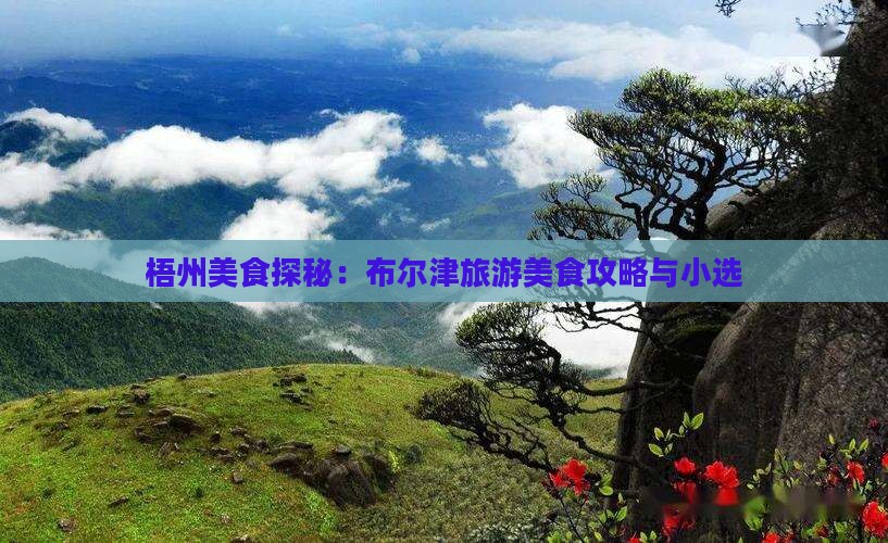 梧州美食探秘：布尔津旅游美食攻略与小选