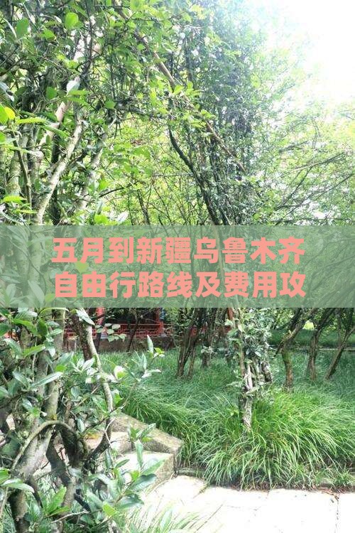 五月到新疆乌鲁木齐自由行路线及费用攻略 五月到新疆乌鲁木齐自由行路线及费用攻略