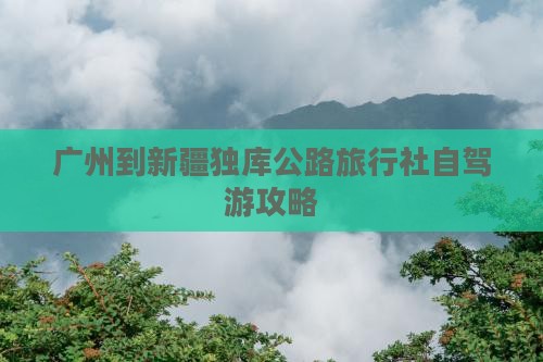 广州到新疆独库公路旅行社自驾游攻略