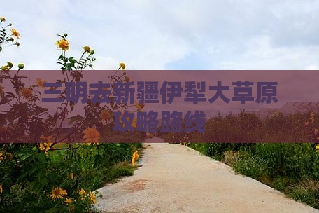 三明去新疆伊犁大草原攻略路线