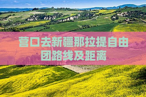 营口去新疆那拉提自由团路线及距离