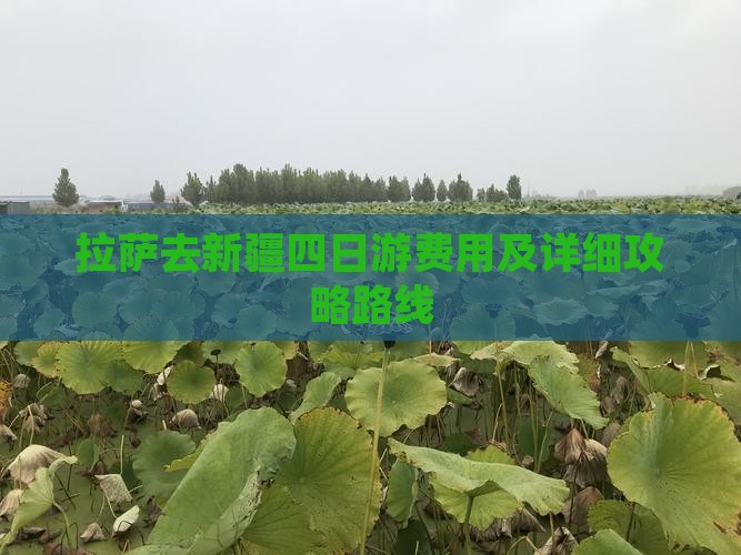 拉萨去新疆四日游费用及详细攻略路线