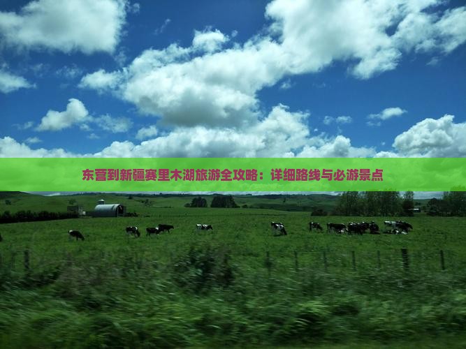 东营到新疆赛里木湖旅游全攻略：详细路线与必游景点