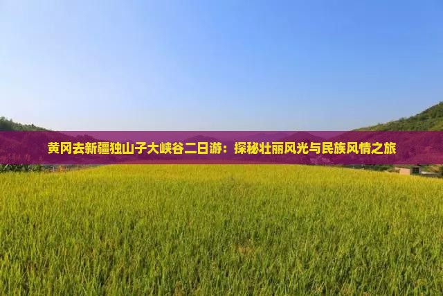 黄冈去新疆独山子大峡谷二日游：探秘壮丽风光与民族风情之旅