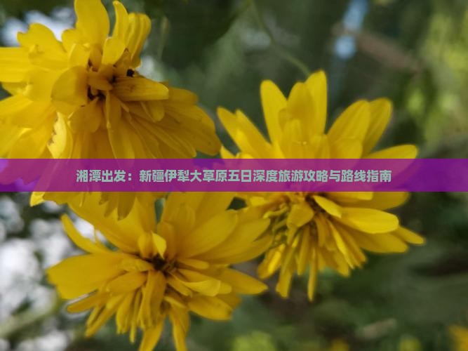 湘潭出发：新疆伊犁大草原五日深度旅游攻略与路线指南