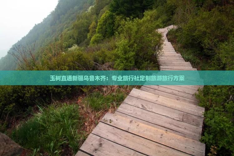 玉树直通新疆乌鲁木齐：专业旅行社定制旅游旅行方案