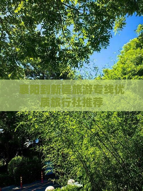 襄阳到新疆旅游专线优质旅行社推荐
