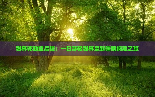 锡林郭勒盟启程：一日穿梭锡林至新疆喀纳斯之旅