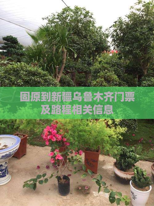 固原到新疆乌鲁木齐门票及路程相关信息