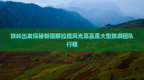 铁岭出发探秘新疆那拉提风光高品质大型旅游团队行程