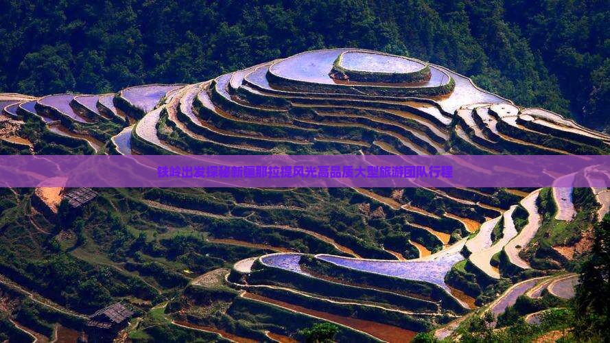 铁岭出发探秘新疆那拉提风光高品质大型旅游团队行程