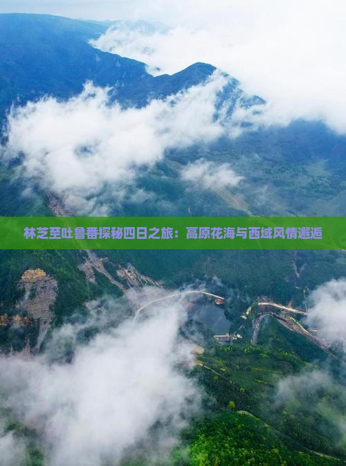 林芝至吐鲁番探秘四日之旅：高原花海与西域风情邂逅