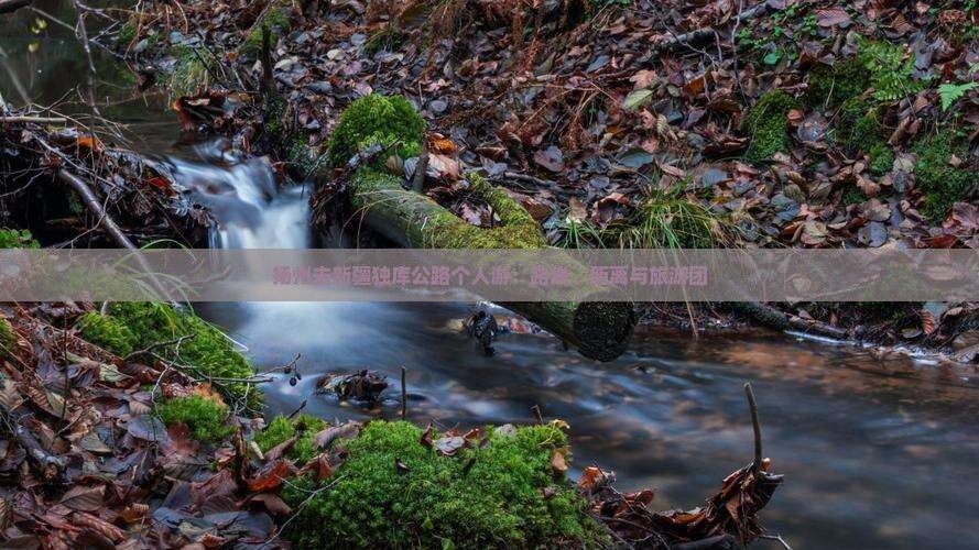 扬州去新疆独库公路个人游：路线、距离与旅游团