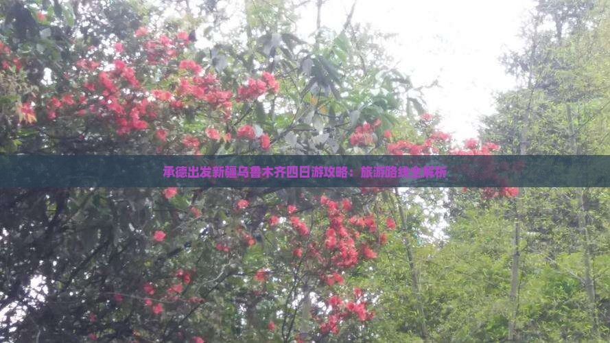 承德出发新疆乌鲁木齐四日游攻略：旅游路线全解析