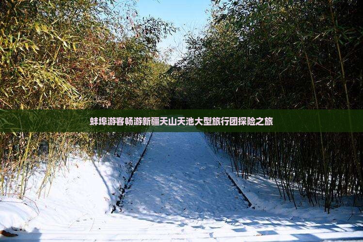 蚌埠游客畅游新疆天山天池大型旅行团探险之旅