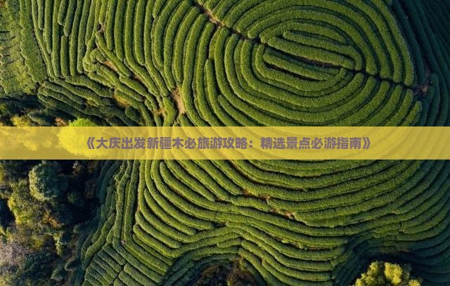 《大庆出发新疆木必旅游攻略：精选景点必游指南》
