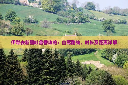 伊犁去新疆吐鲁番攻略：自驾路线、时长及距离详解