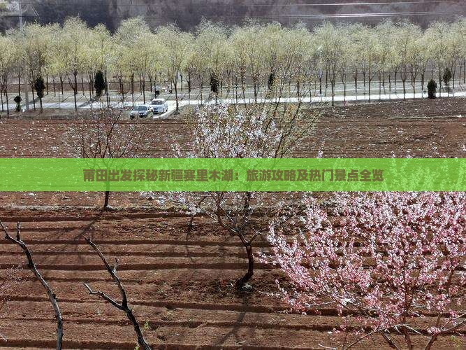 莆田出发探秘新疆赛里木湖：旅游攻略及热门景点全览