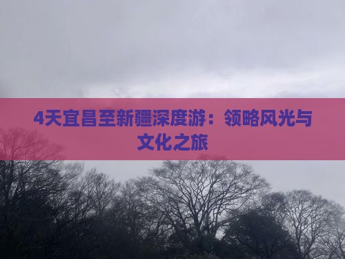 4天宜昌至新疆深度游：领略风光与文化之旅