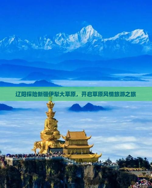 辽阳探险新疆伊犁大草原，开启草原风情旅游之旅