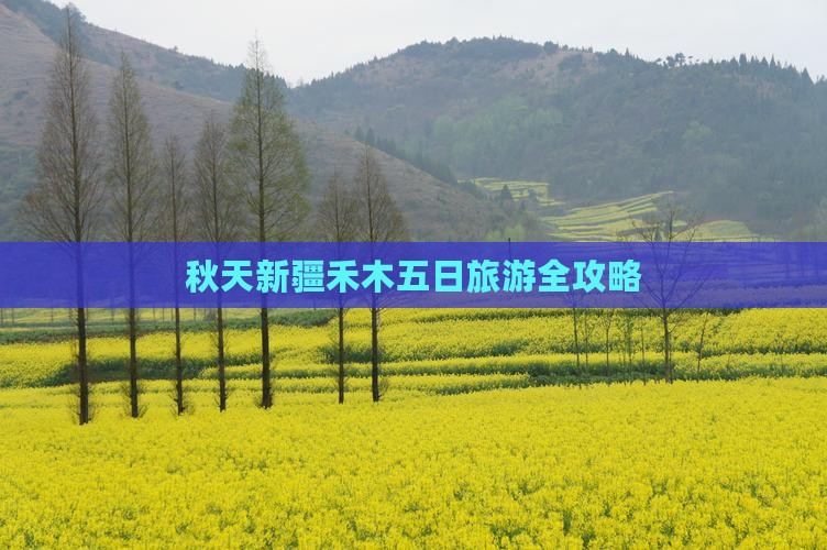 秋天新疆禾木五日旅游全攻略