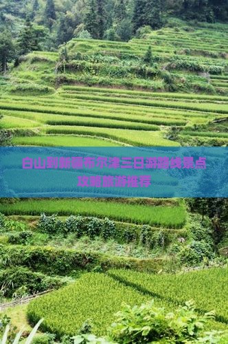 白山到新疆布尔津三日游路线景点攻略旅游推荐