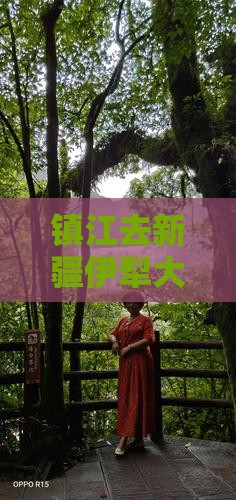 镇江去新疆伊犁大草原攻略路线