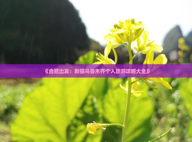《合肥出发：新疆乌鲁木齐个人旅游攻略大全》