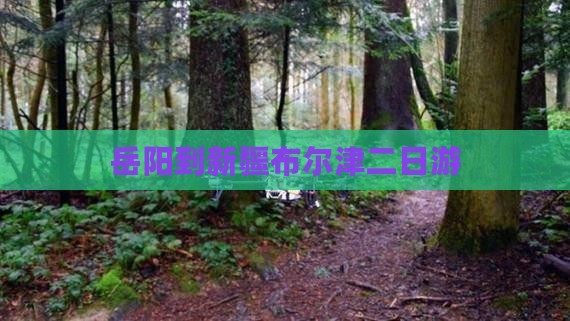 岳阳到新疆布尔津二日游