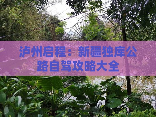 泸州启程：新疆独库公路自驾攻略大全