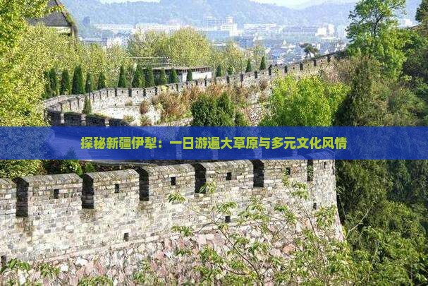 探秘新疆伊犁：一日游遍大草原与多元文化风情