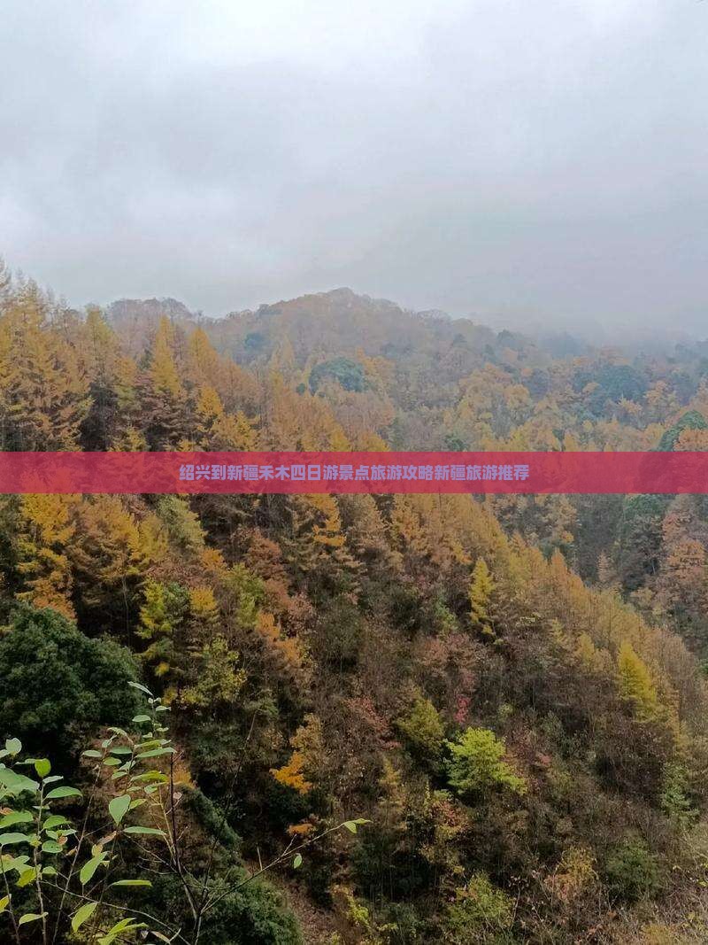 绍兴到新疆禾木四日游景点旅游攻略新疆旅游推荐
