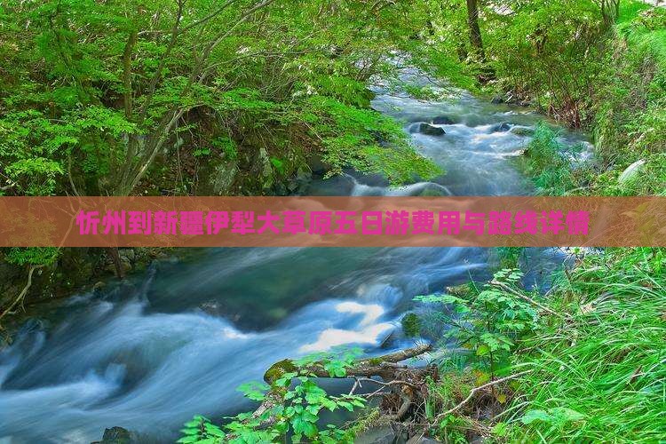 忻州到新疆伊犁大草原五日游费用与路线详情