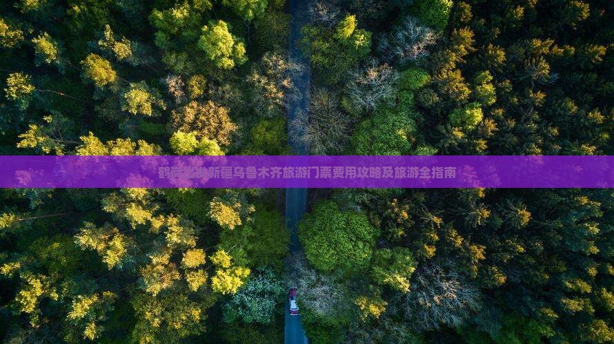 鹤岗出发新疆乌鲁木齐旅游门票费用攻略及旅游全指南