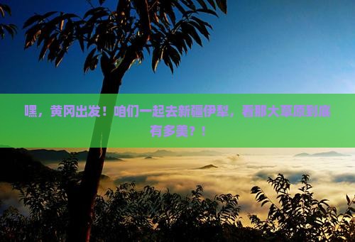 黄冈到新疆伊犁大草原大型旅游团 黄冈到新疆伊犁大草原大型旅游团